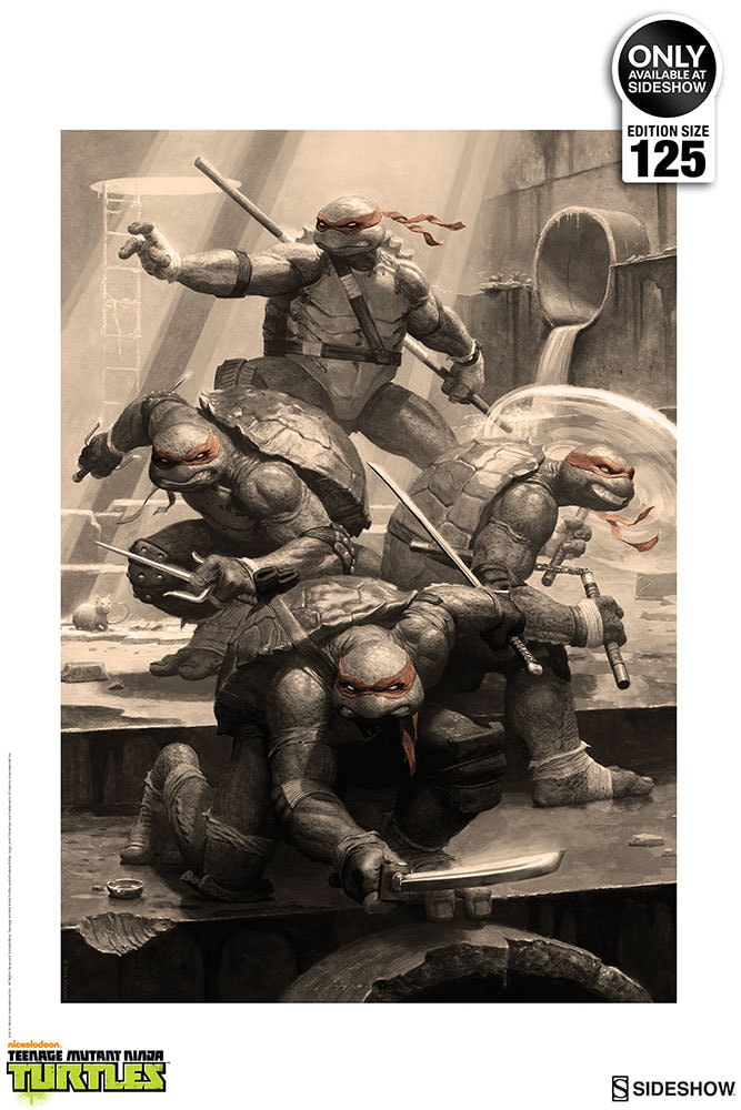 Teenage Mutant Ninja Turtles DVD Fine Art Print by Unknown at