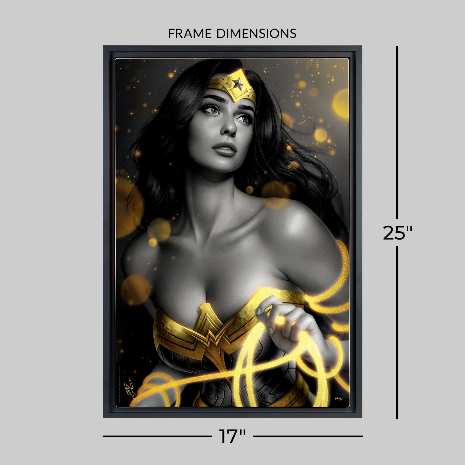 Wonder Woman: Black & Gold Fine Art Print by Warren Louw 