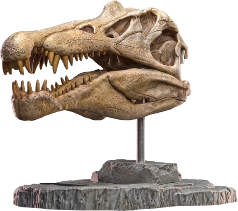 Spinosaurus Head Skull Scaled Replica by Star Ace Toys | Sideshow