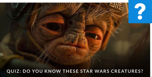 Quiz: Do You Know These Star Wars Creatures?