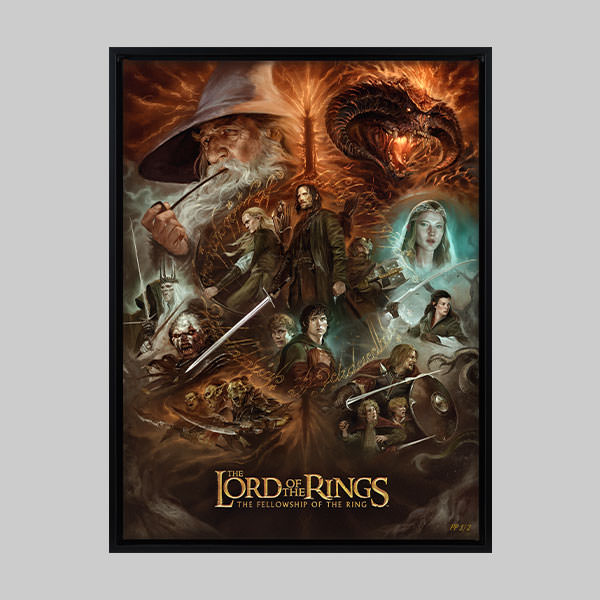 The Lord of the Rings: The Fellowship of the Ring