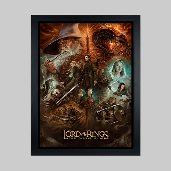 The Lord of the Rings: The Fellowship of the Ring