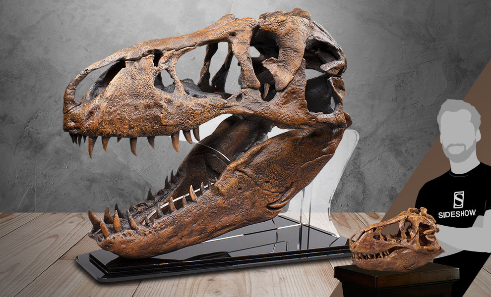 fake t rex skull