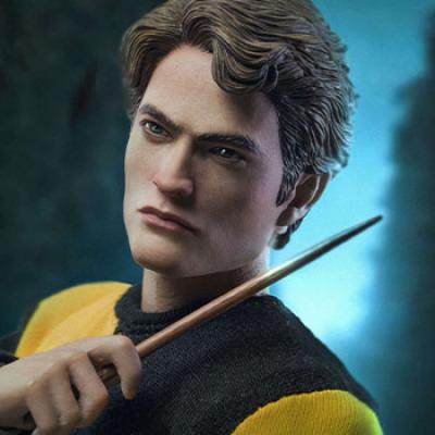 Cedric Diggory (Tri-Wizard Version) (Harry Potter) Sixth Scale Figure by Star Ace Toys Ltd.